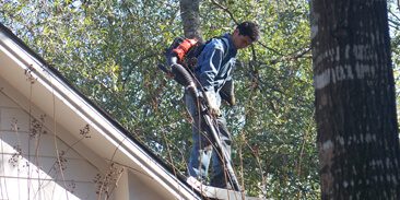 gutter cleaning grand rapids save money
