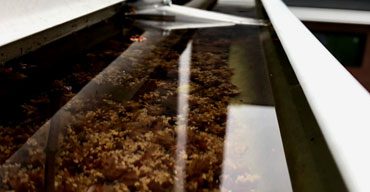 gutter-cleaning-2